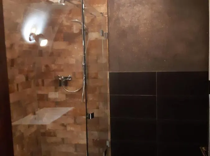 Stadtresidenz Salburg *